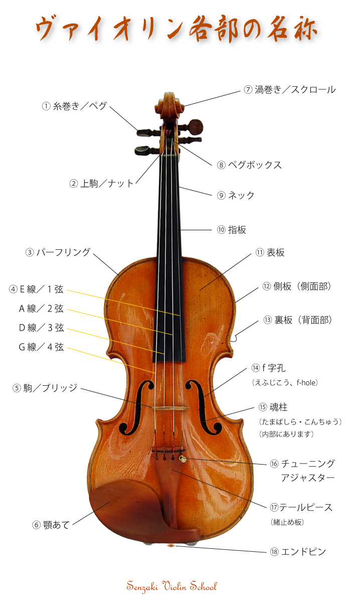 経典ブランド D'Addario Prelude Violin String J814 4 4M ダダリオ